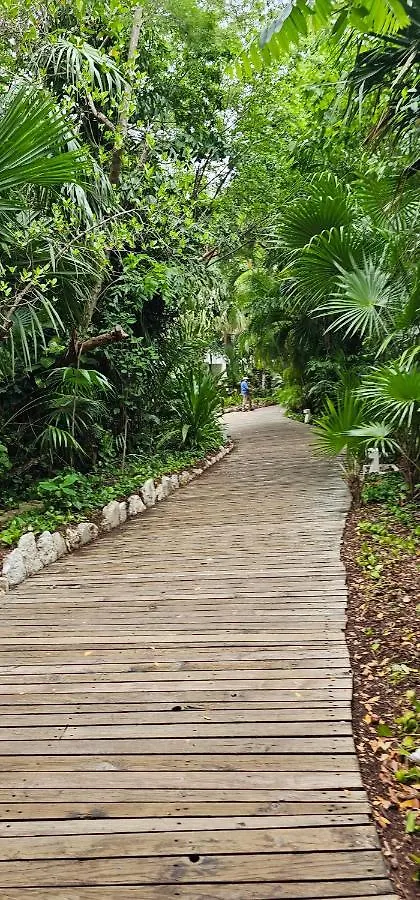 Курортный комплекс Mayan Palace Пуэрто-Морелос Мексика