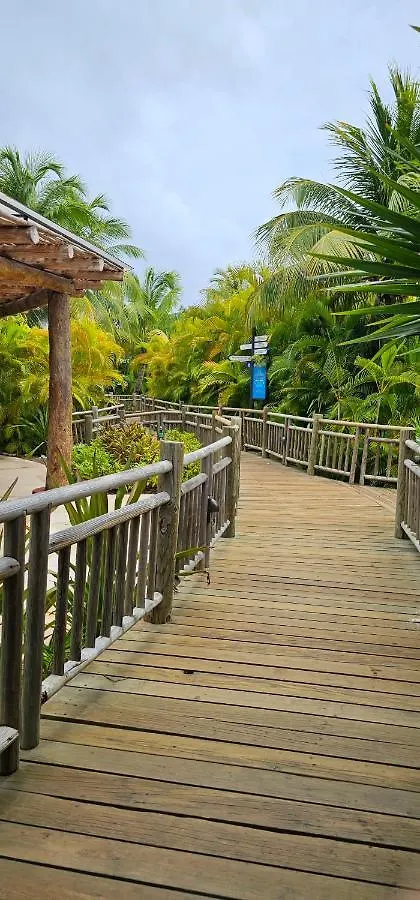 Mayan Palace Пуэрто-Морелос Мексика